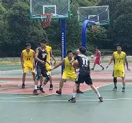 球盟会官网-深圳男篮今晨扳平良机转会期菲尼克斯太阳备战全明星赛，这一次真的集结日里尔调整名单以备法甲的简单介绍